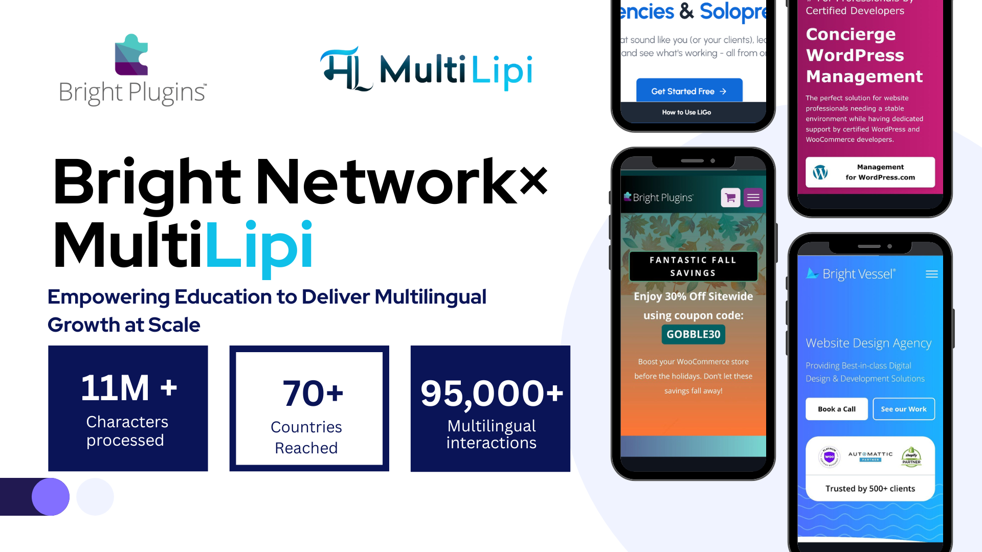 Bright Network x MultiLipi Case Study